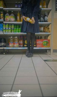 少帅免费连续剧48集下载