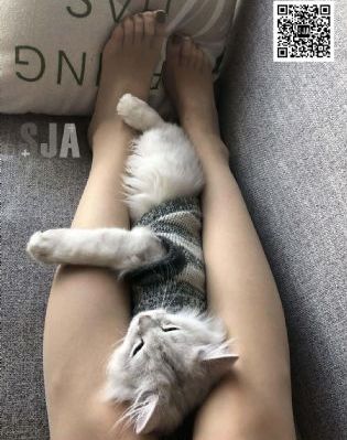 年轻母亲韩国