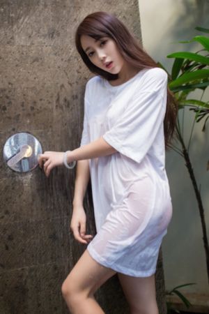 衫衫来了电视剧免费观看全集
