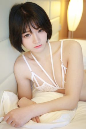 吸血鬼侦探