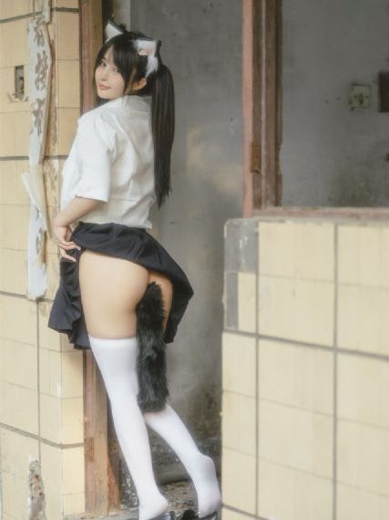 执法者们