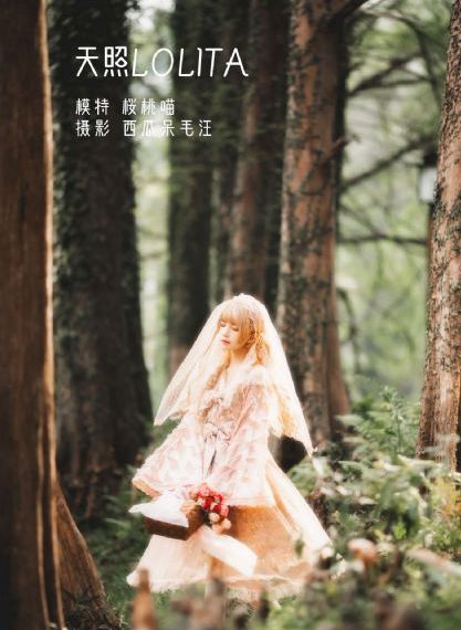 飘雪手机在线观看免费完整版