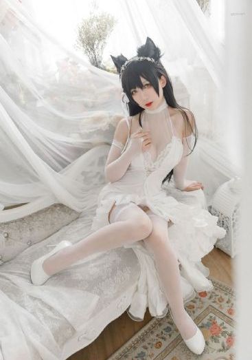 少女免费的高清动画