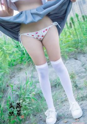 真心英雄电视剧免费播放