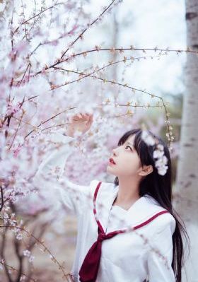 赘婿在线观看免费